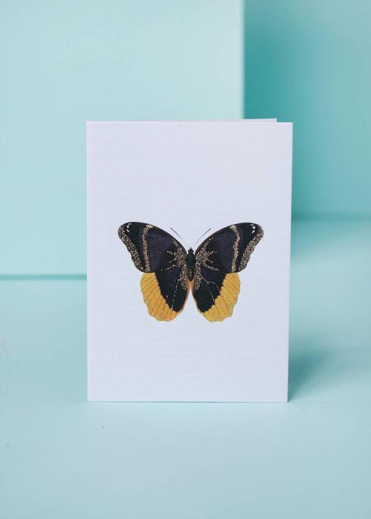 BUTTERFLY GREETING CARD - Spiral Circle