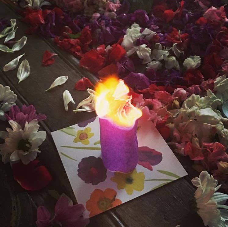 CACTUS GARDEN / Mini kit with 15 Wishes + accessories - Spiral Circle