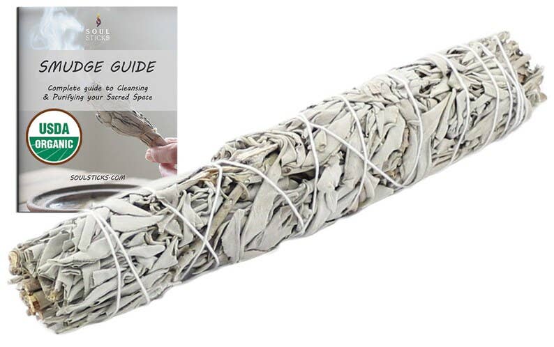 California White Sage Smudge Stick (9 in.) - Spiral Circle
