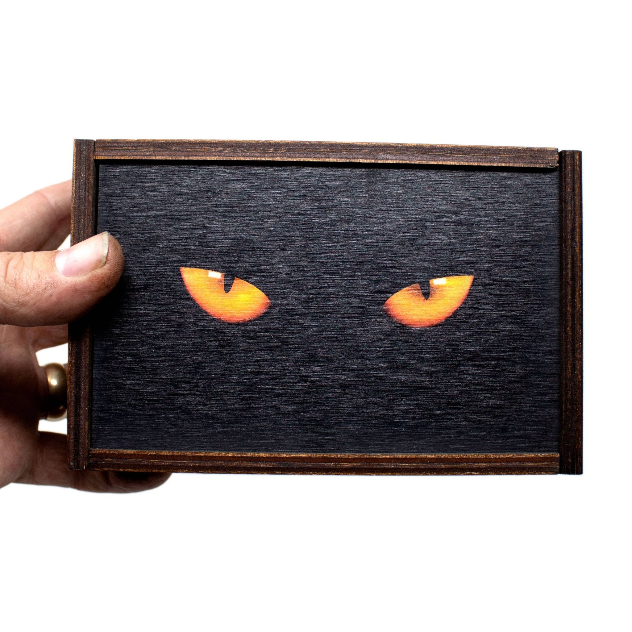 Cat Eyes Full Color Tarot Card / Stash Box - for CAT LOVERS - Spiral Circle