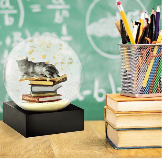 Cat on Books Snow Globe - Spiral Circle