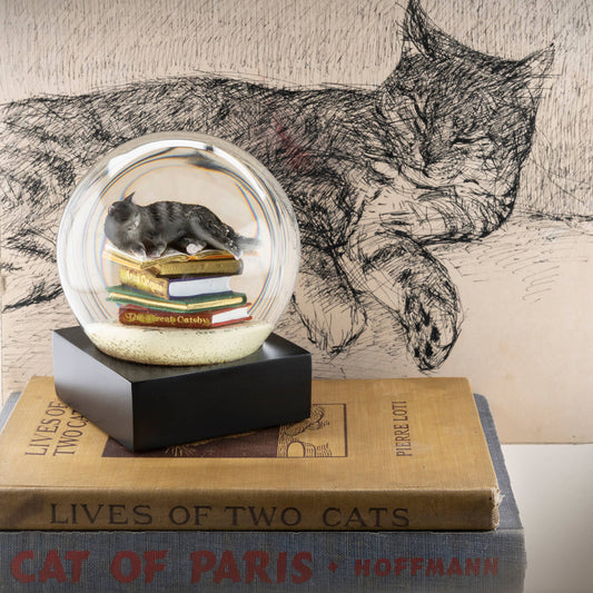 Cat on Books Snow Globe - Spiral Circle