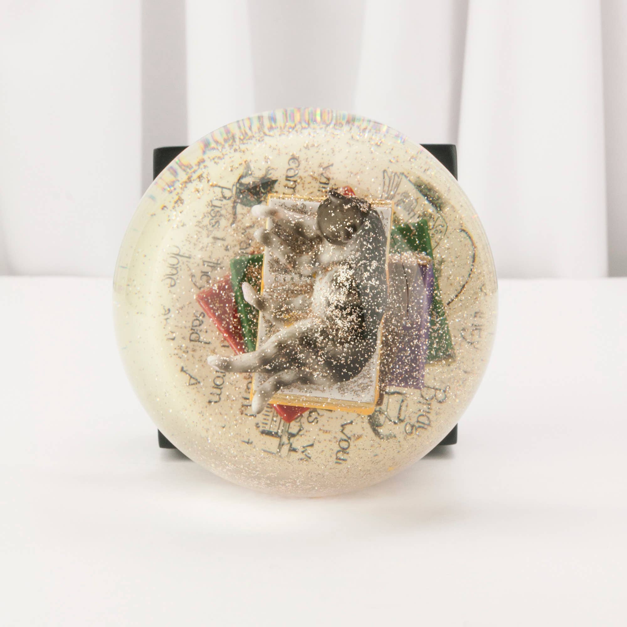Cat on Books Snow Globe - Spiral Circle