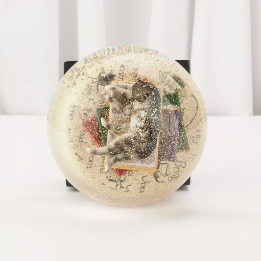 Cat on Books Snow Globe - Spiral Circle