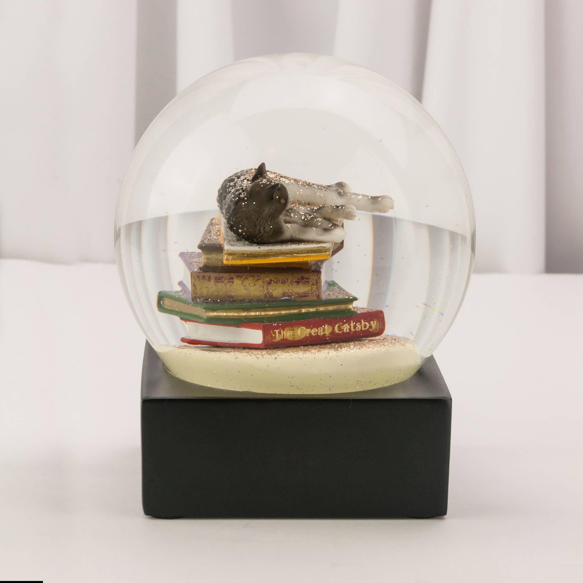 Cat on Books Snow Globe - Spiral Circle