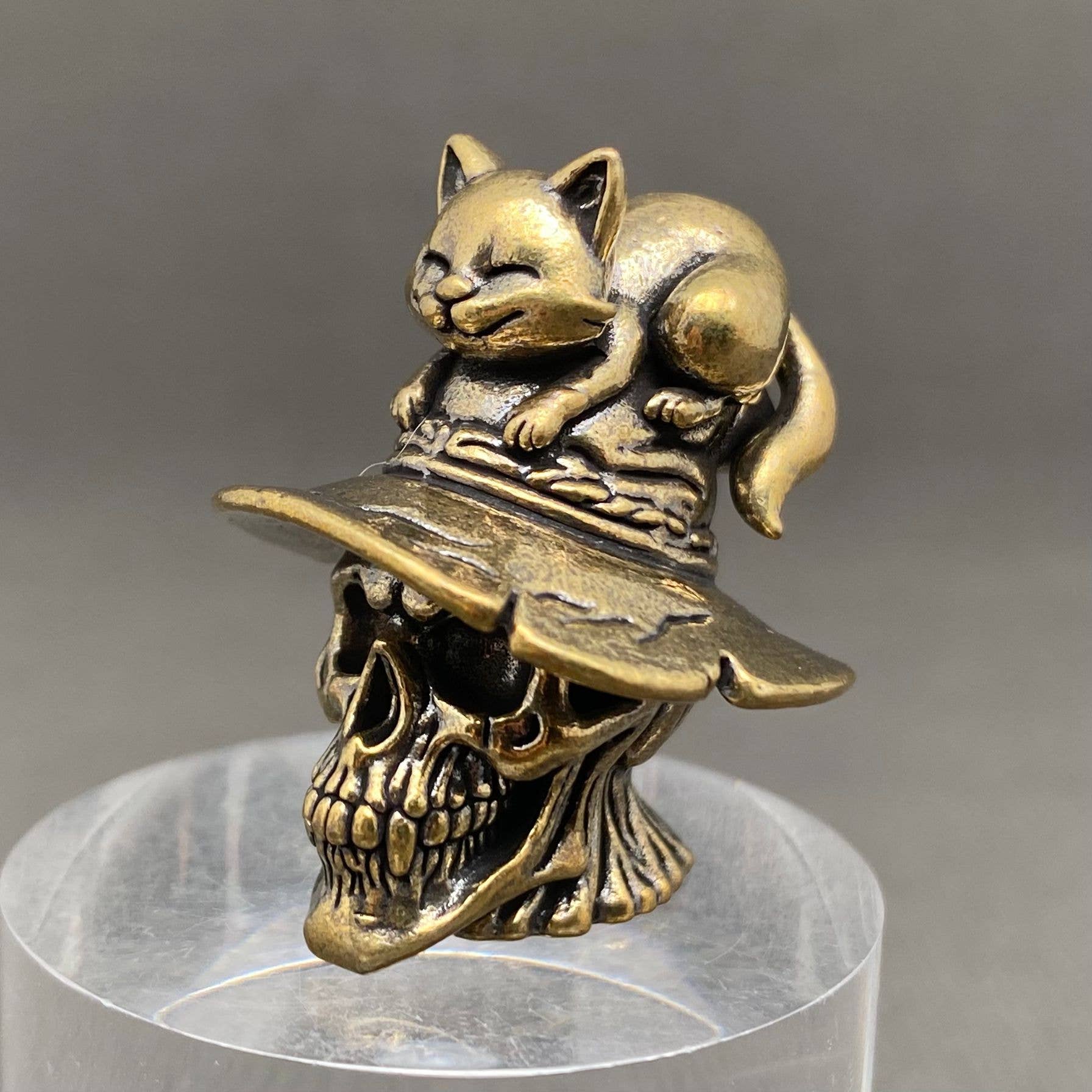 Cat On The Skull | Brass Figurine - Spiral Circle