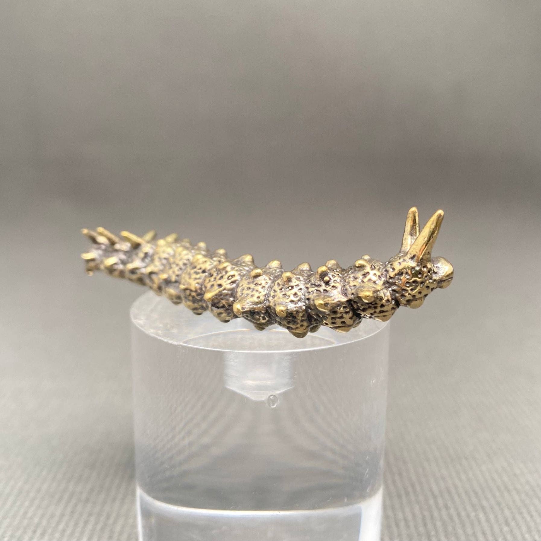 Caterpillar | Brass Figurine - Spiral Circle