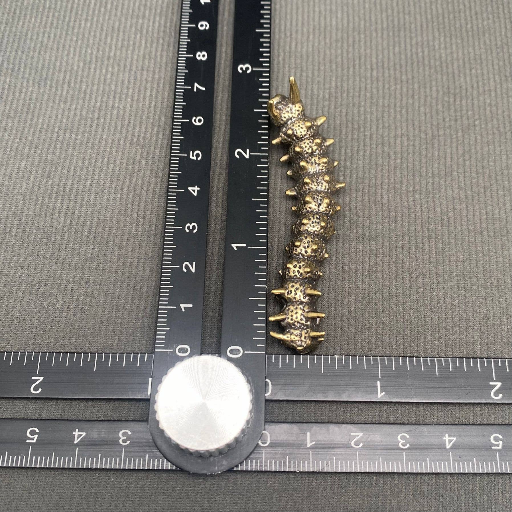 Caterpillar | Brass Figurine - Spiral Circle