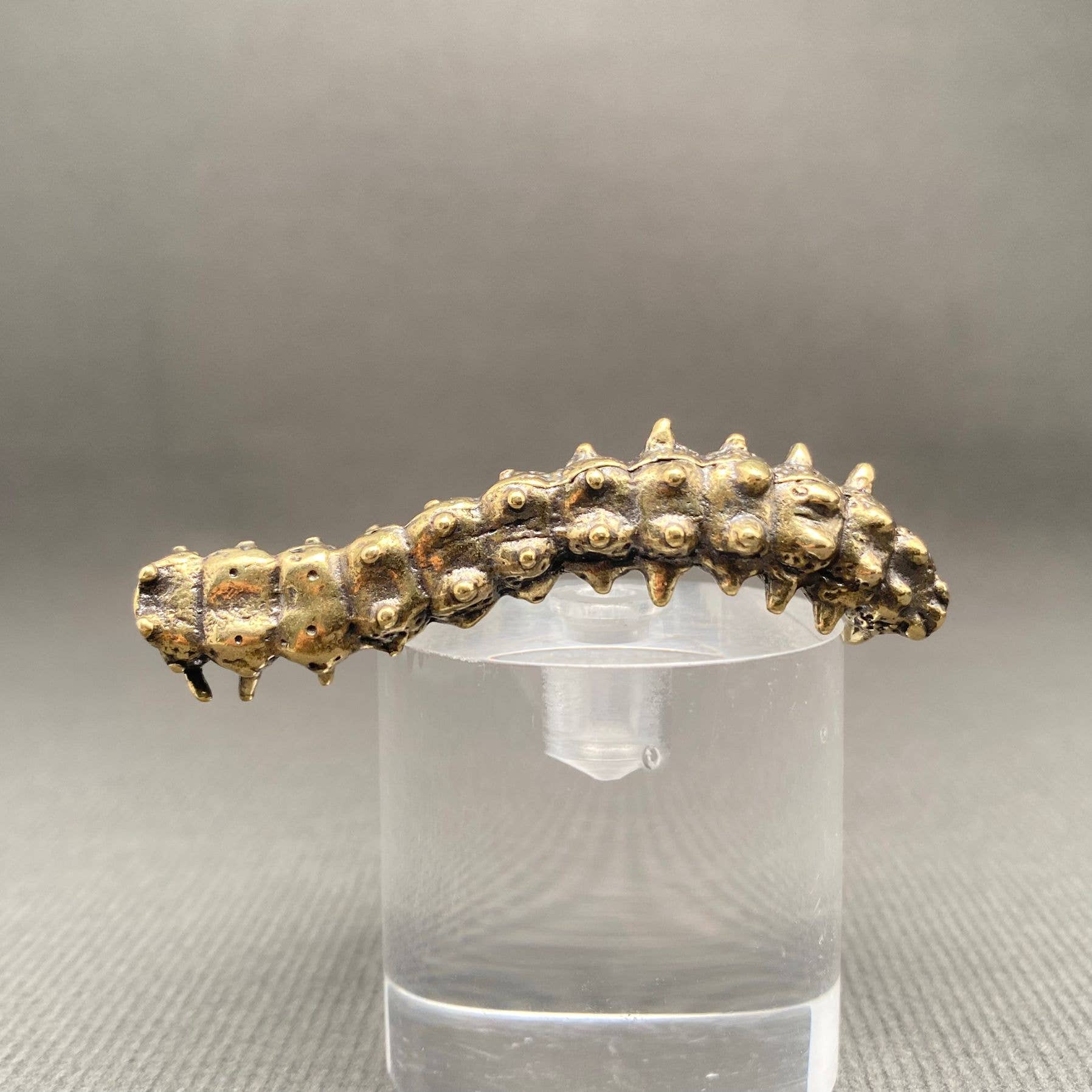 Caterpillar | Brass Figurine - Spiral Circle