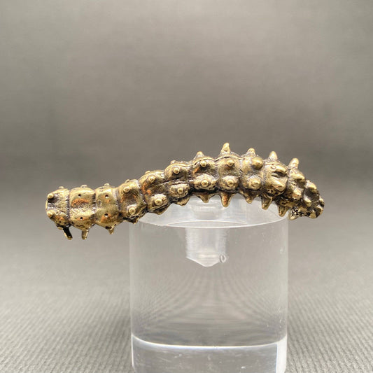 Caterpillar | Brass Figurine - Spiral Circle