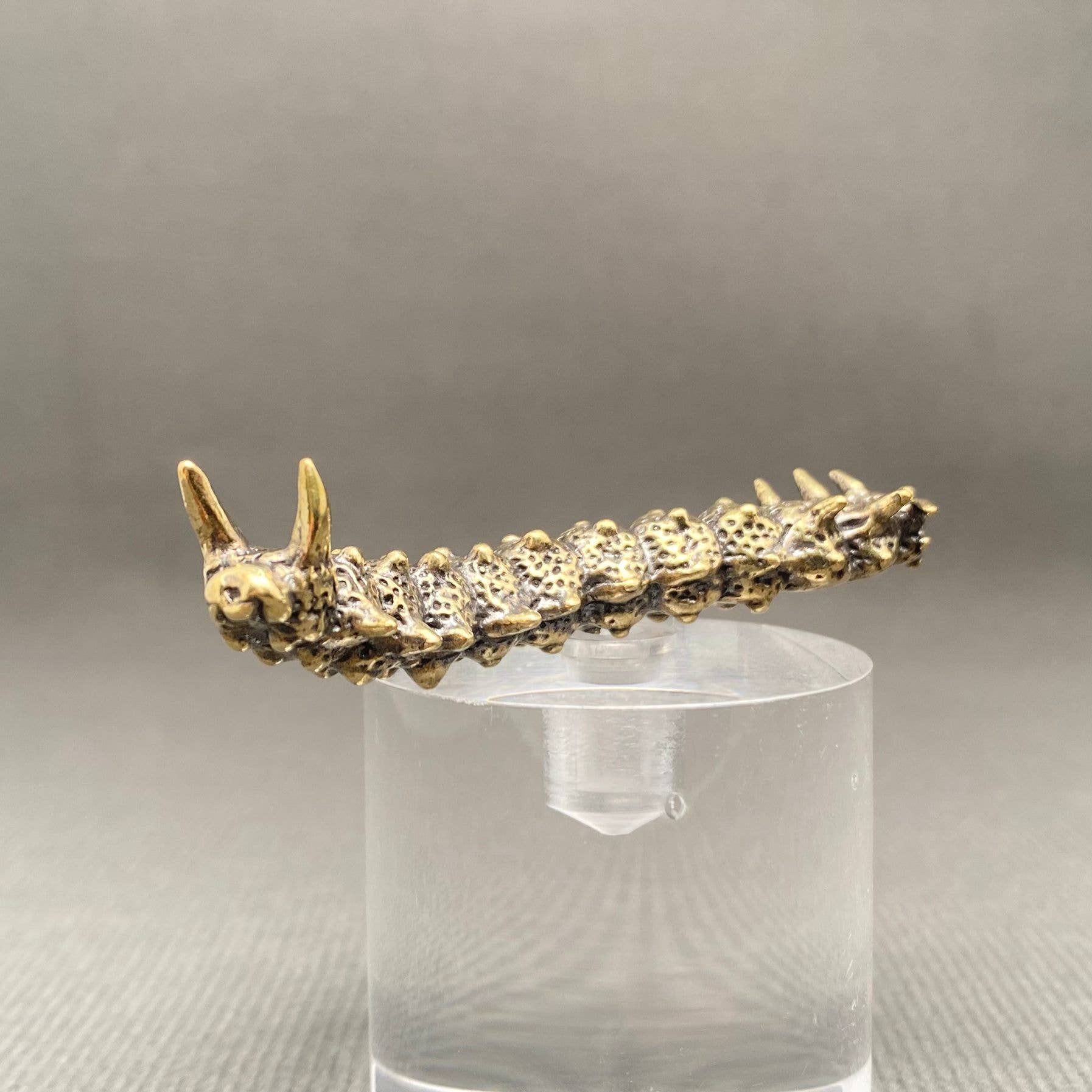 Caterpillar | Brass Figurine - Spiral Circle