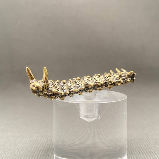 Caterpillar | Brass Figurine - Spiral Circle