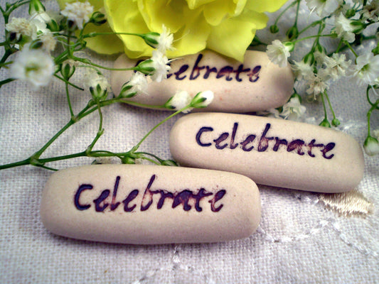 Celebrate, Pocket Meditations - Spiral Circle