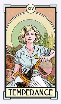 Christina Ricci's Cat Full of Spiders Tarot Deck and Guidebook - Spiral Circle
