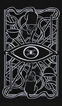Christina Ricci's Cat Full of Spiders Tarot Deck and Guidebook - Spiral Circle