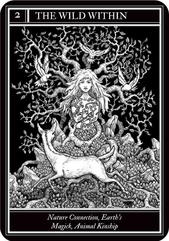 Coven Oracle - Spiral Circle