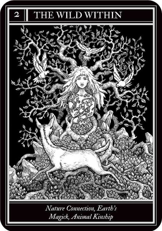Coven Oracle - Spiral Circle
