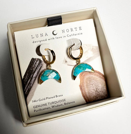 Crescent Horn Huggie Hoop Earrings - Turquoise - Spiral Circle