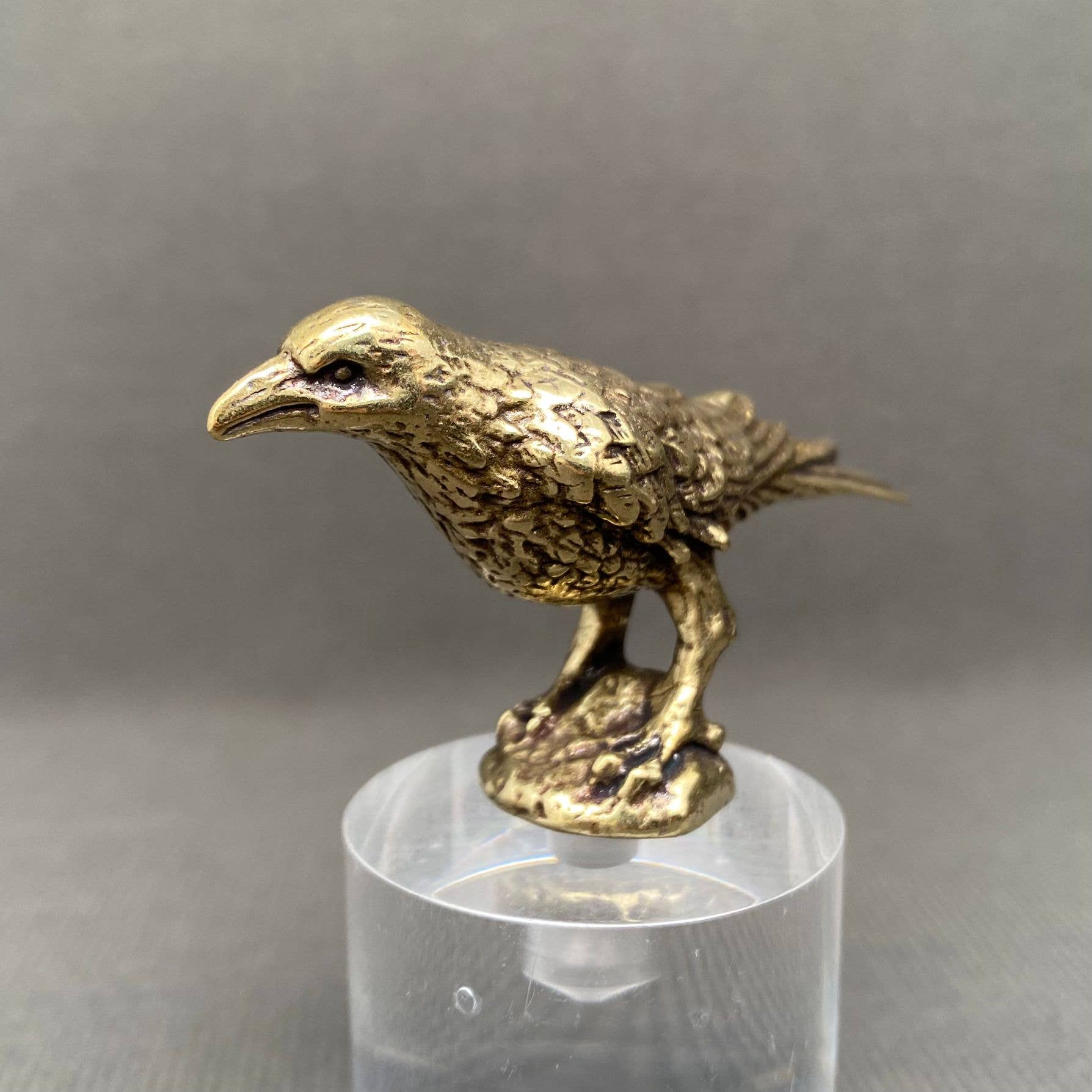 Crow | Brass Figurine - Spiral Circle