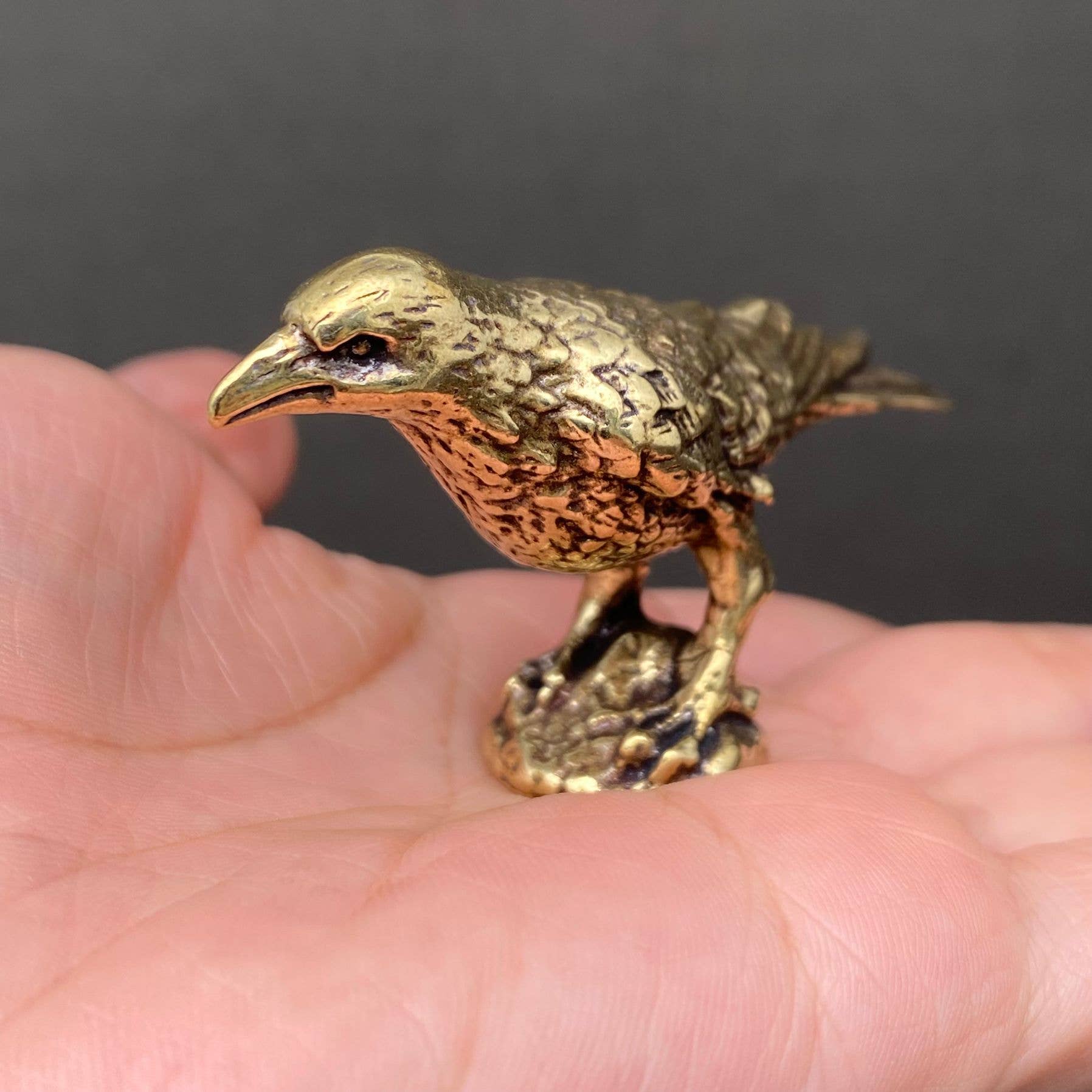 Crow | Brass Figurine - Spiral Circle