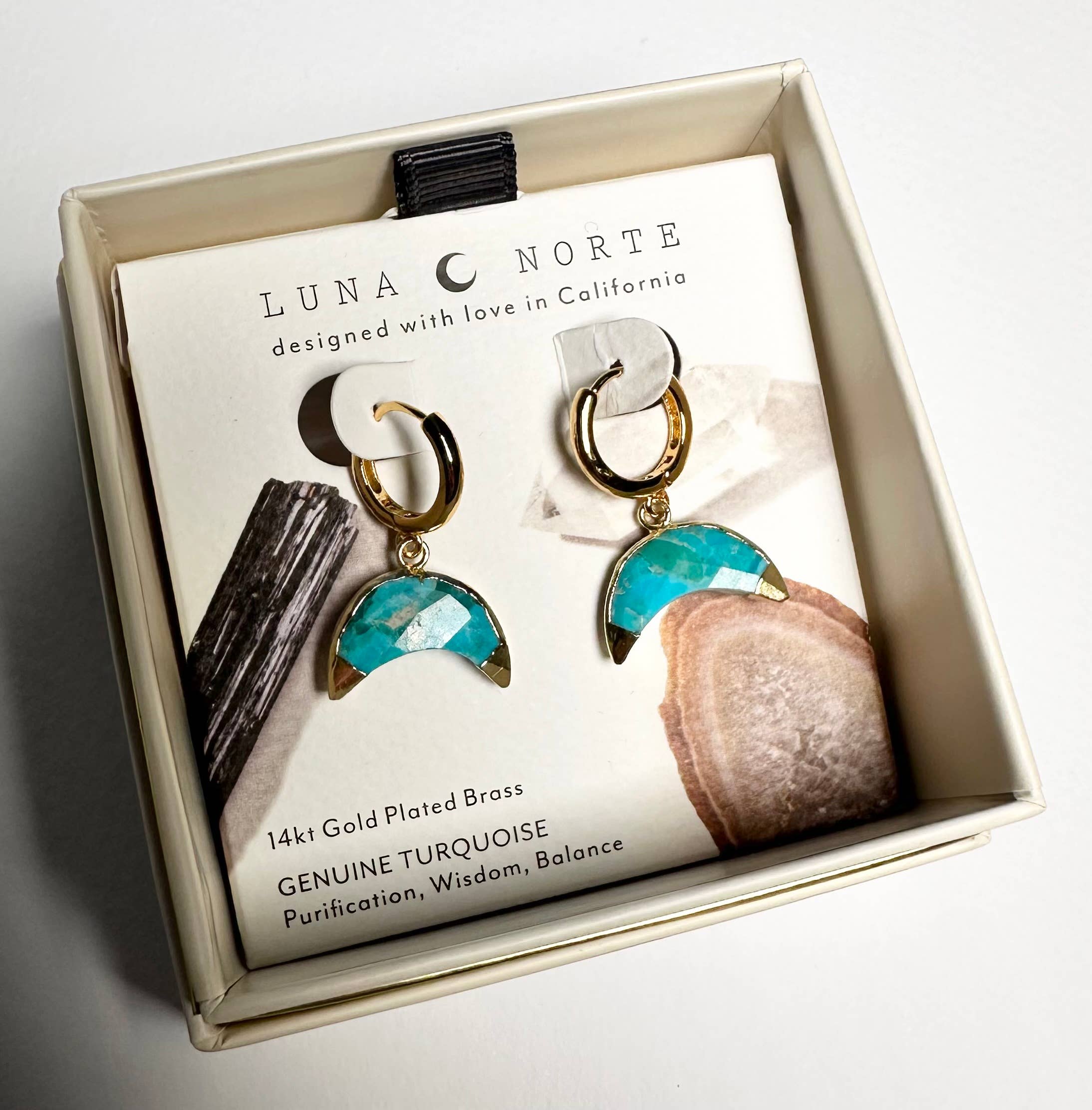 Crescent Horn Huggie Hoop Earrings - Turquoise