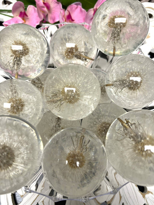 Dandelion Sphere - Spiral Circle