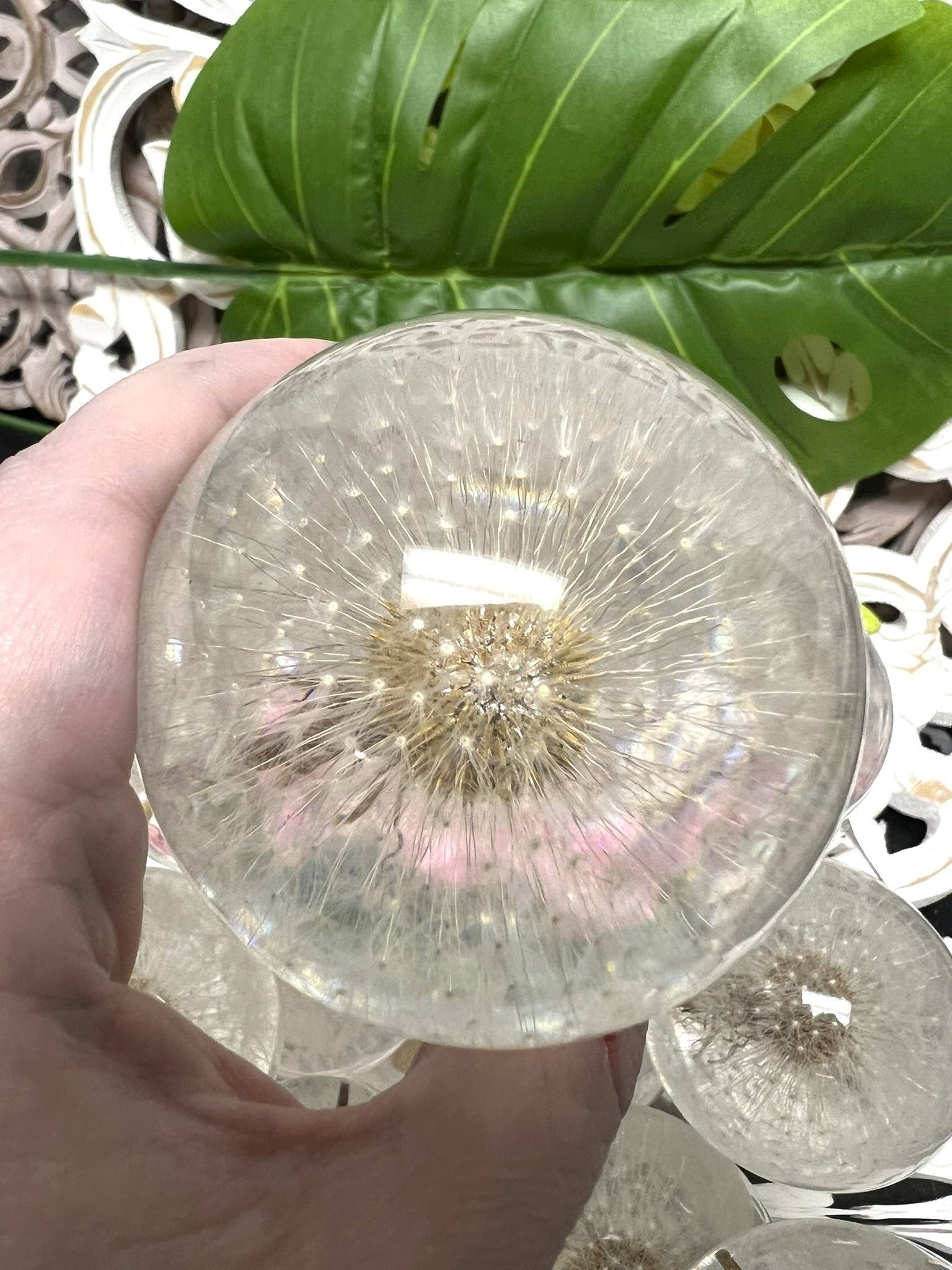 Dandelion Sphere - Spiral Circle