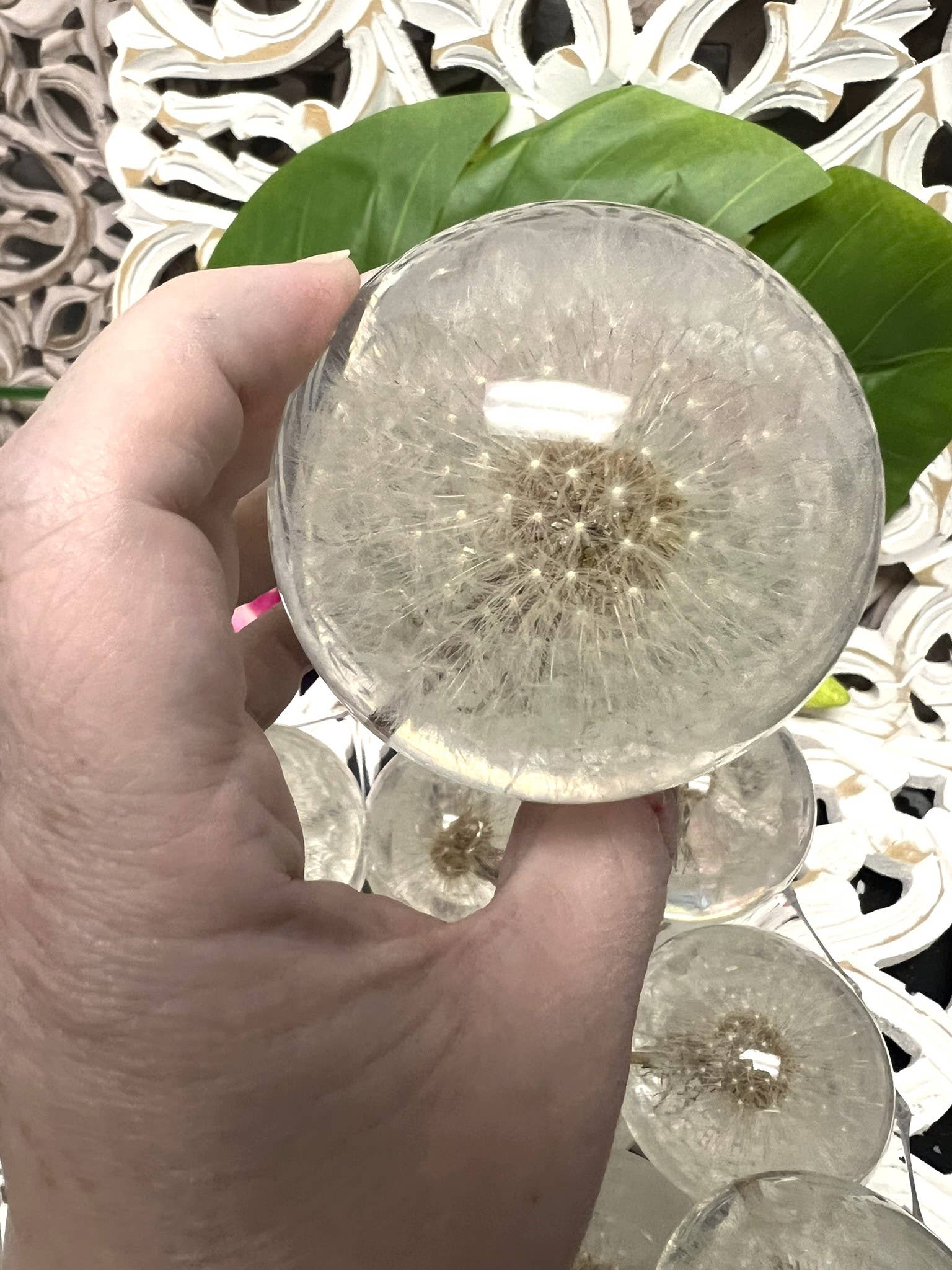 Dandelion Sphere - Spiral Circle