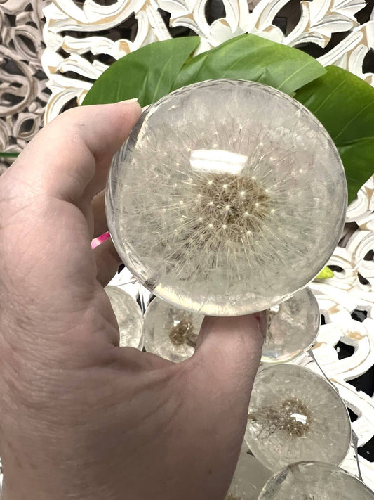 Dandelion Sphere - Spiral Circle