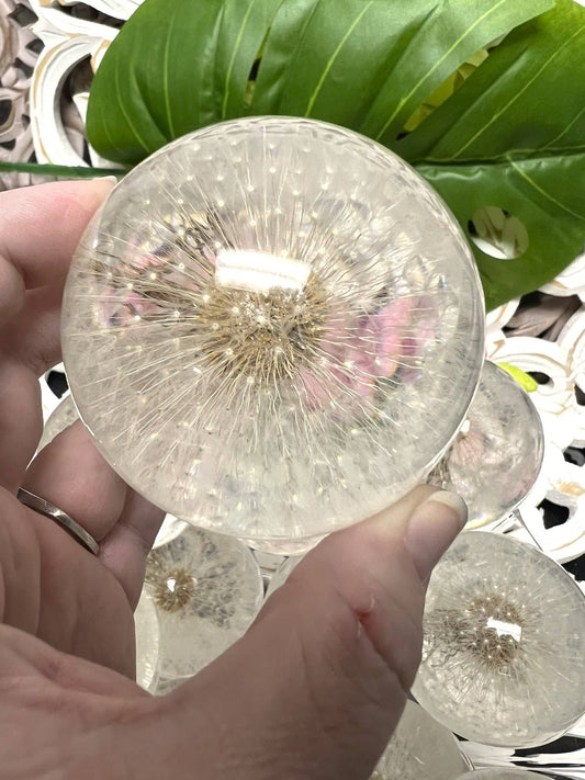 Dandelion Sphere - Spiral Circle