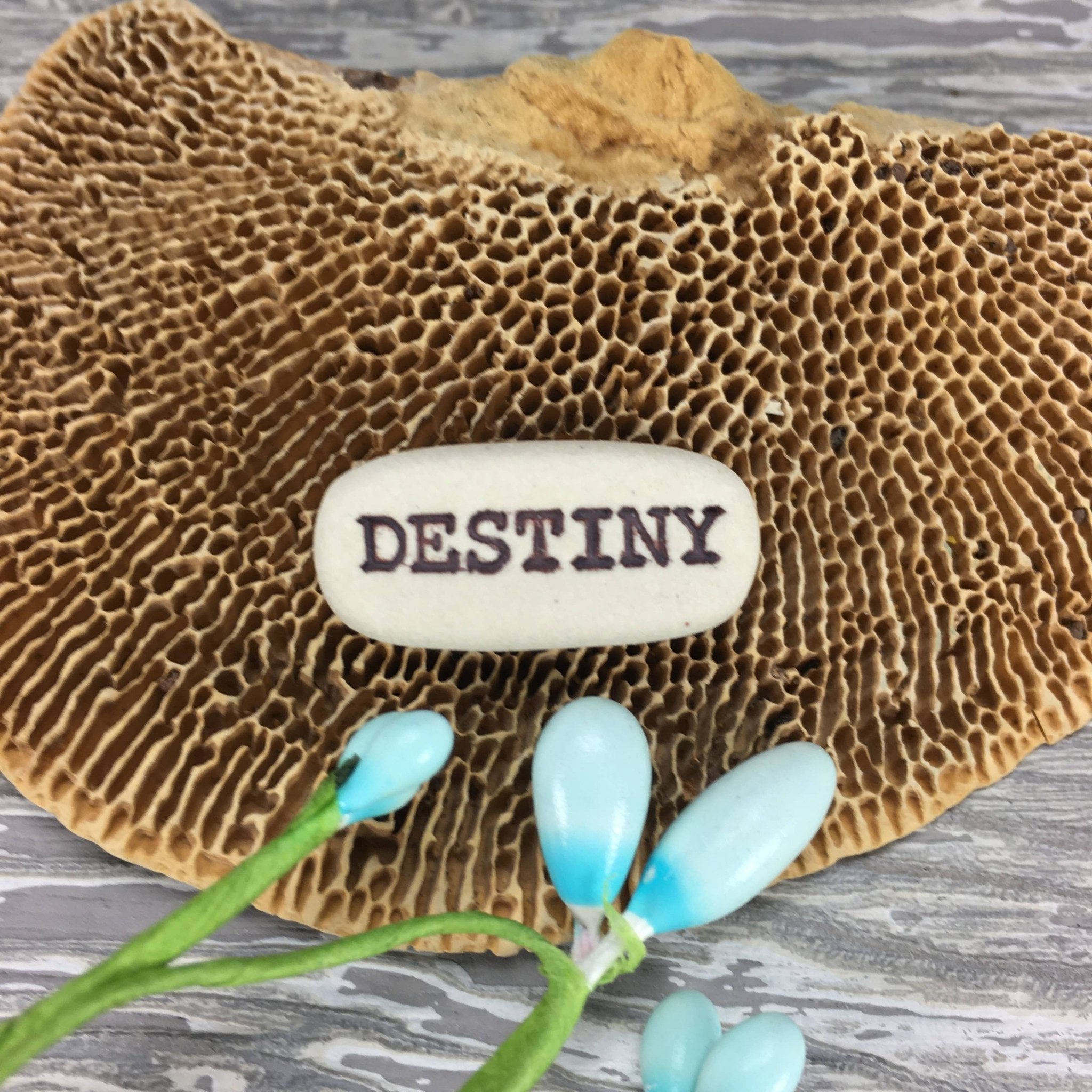 Destiny, Pocket Meditations - Spiral Circle