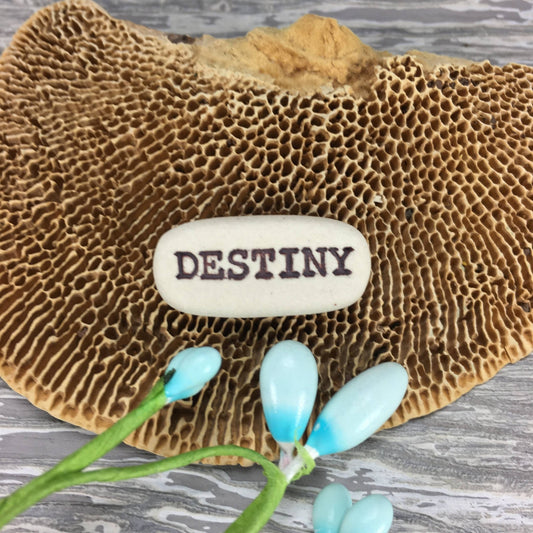 Destiny, Pocket Meditations - Spiral Circle