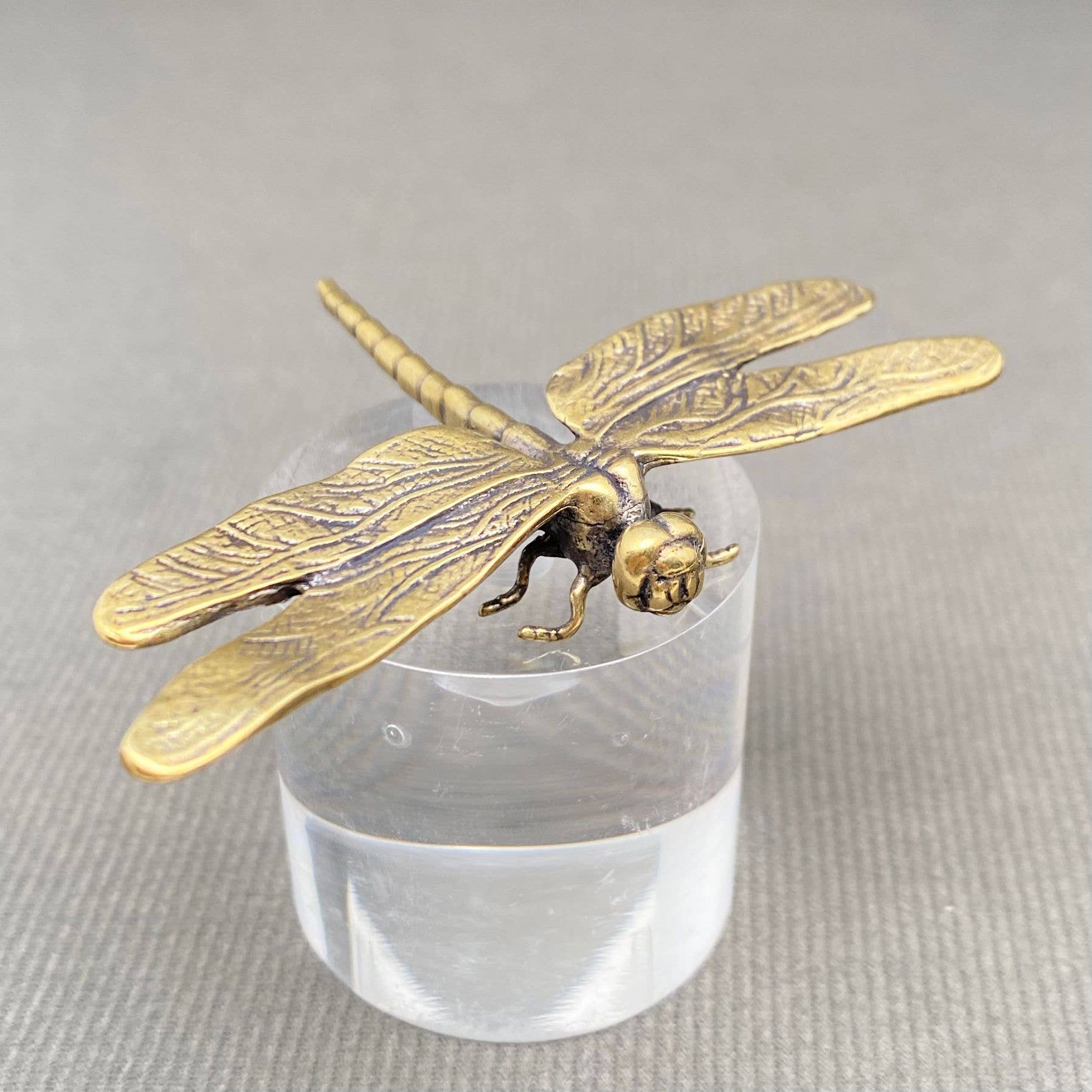 Dragonfly Large | Brass Figurine - Spiral Circle