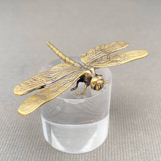 Dragonfly Large | Brass Figurine - Spiral Circle