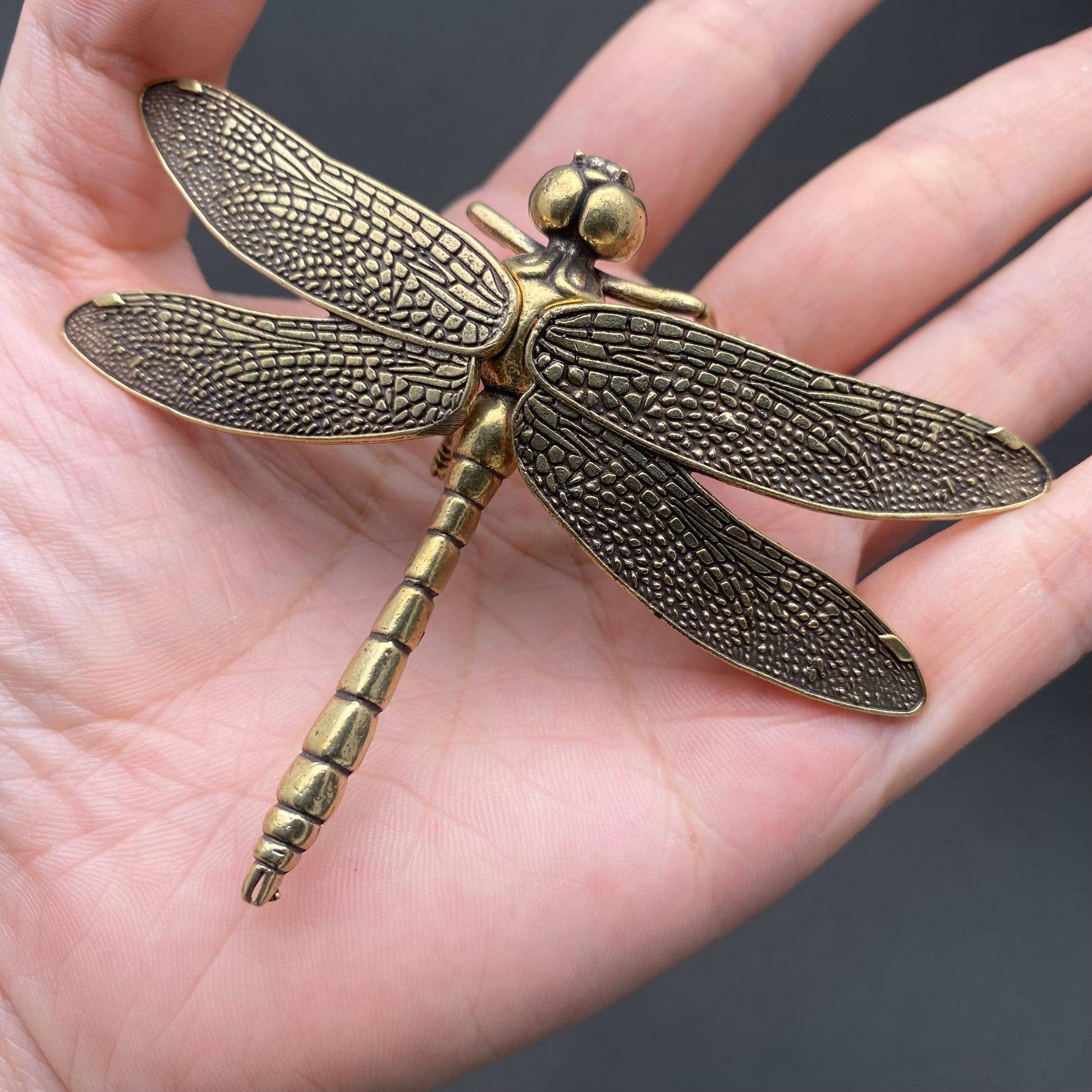 Dragonfly Small | Brass Figurine - Spiral Circle