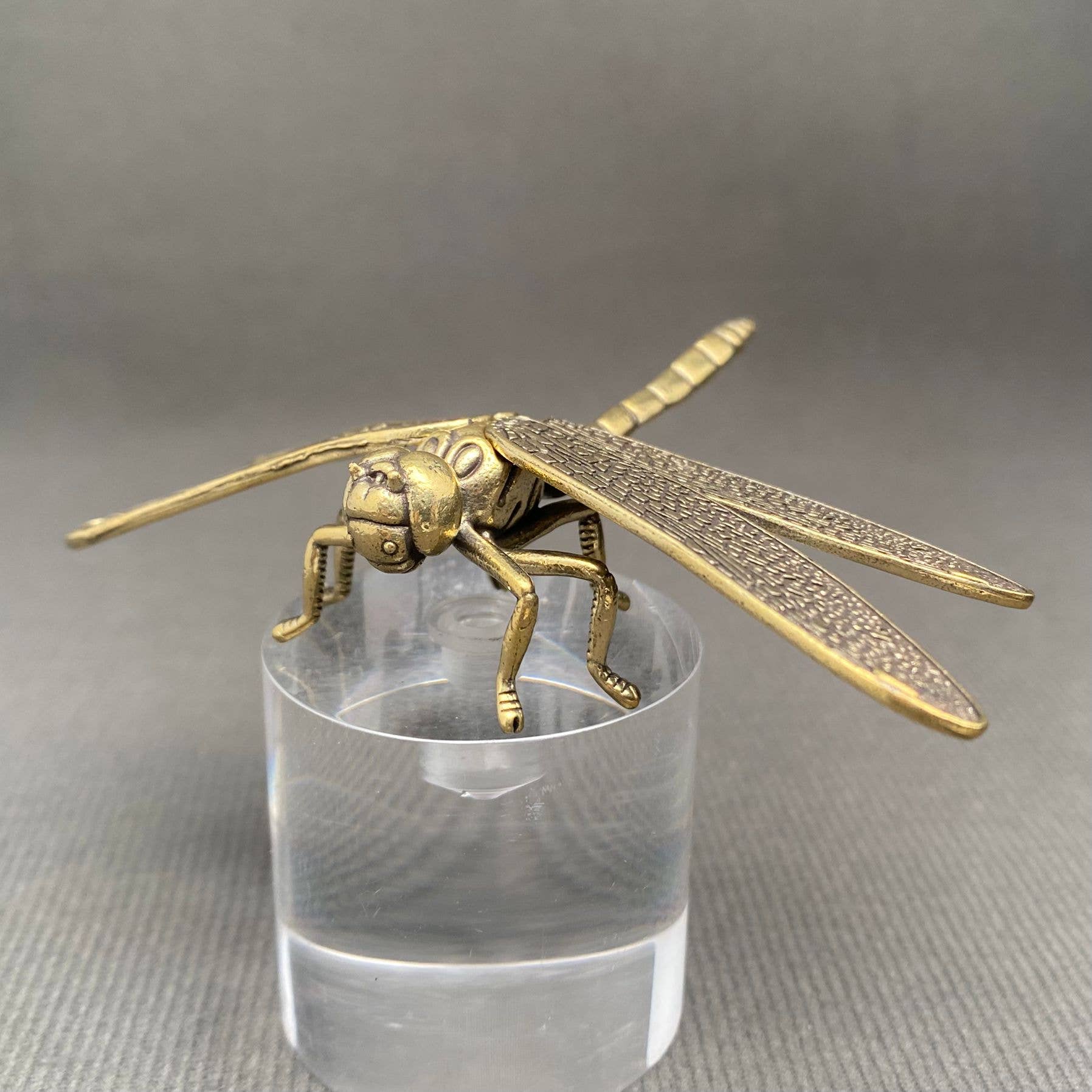 Dragonfly Small | Brass Figurine - Spiral Circle