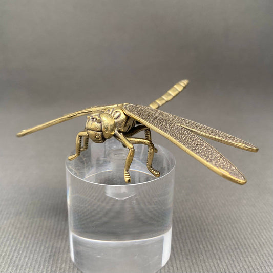Dragonfly Small | Brass Figurine - Spiral Circle