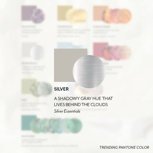 East Coast Herkimer Quartz Earrings - Silver - Spiral Circle