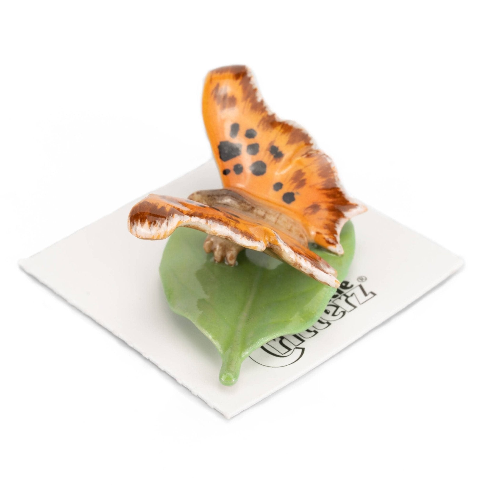 Fabricius Question Mark Butterfly Porcelain Miniature - Spiral Circle