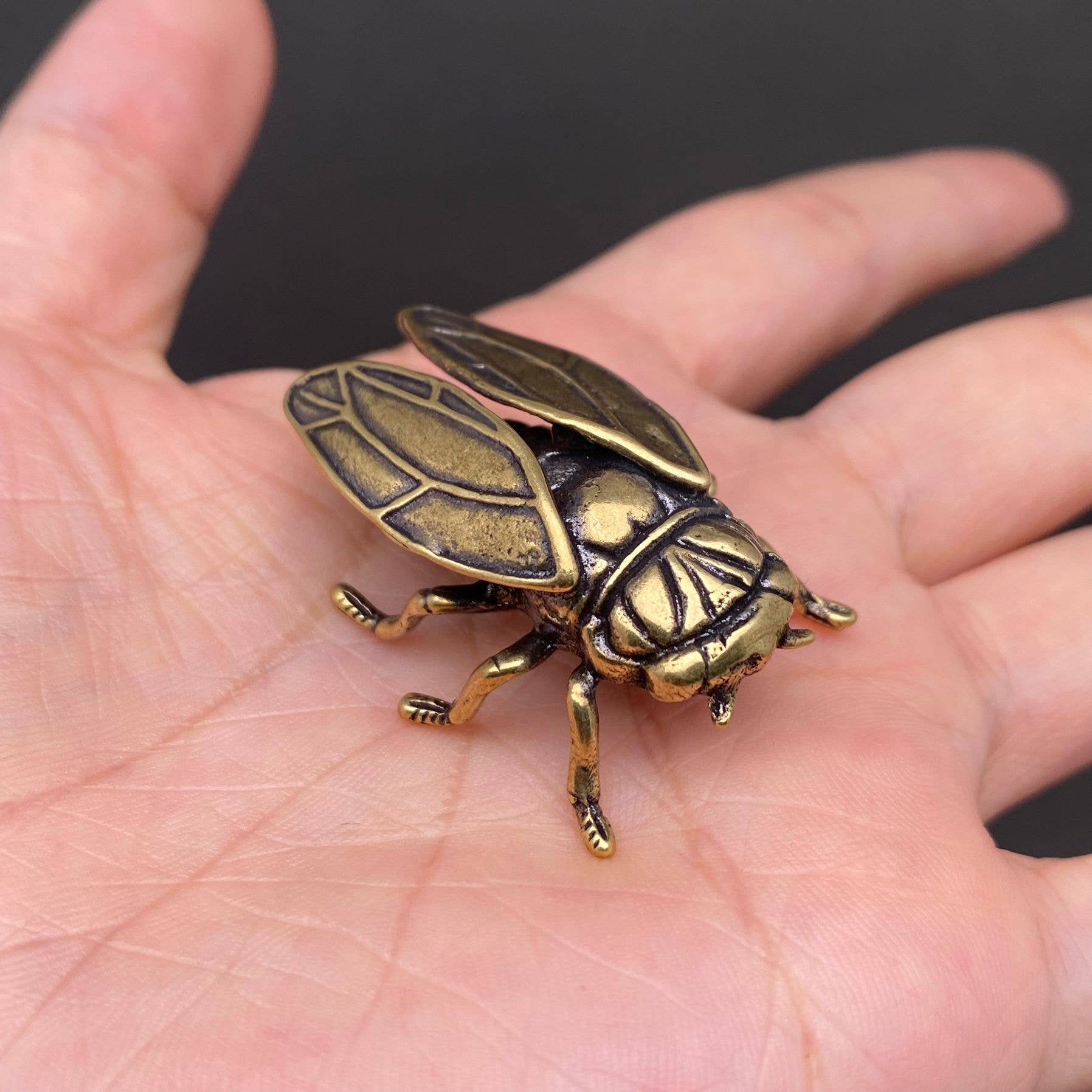 Brass Cicada| Brass Figurine