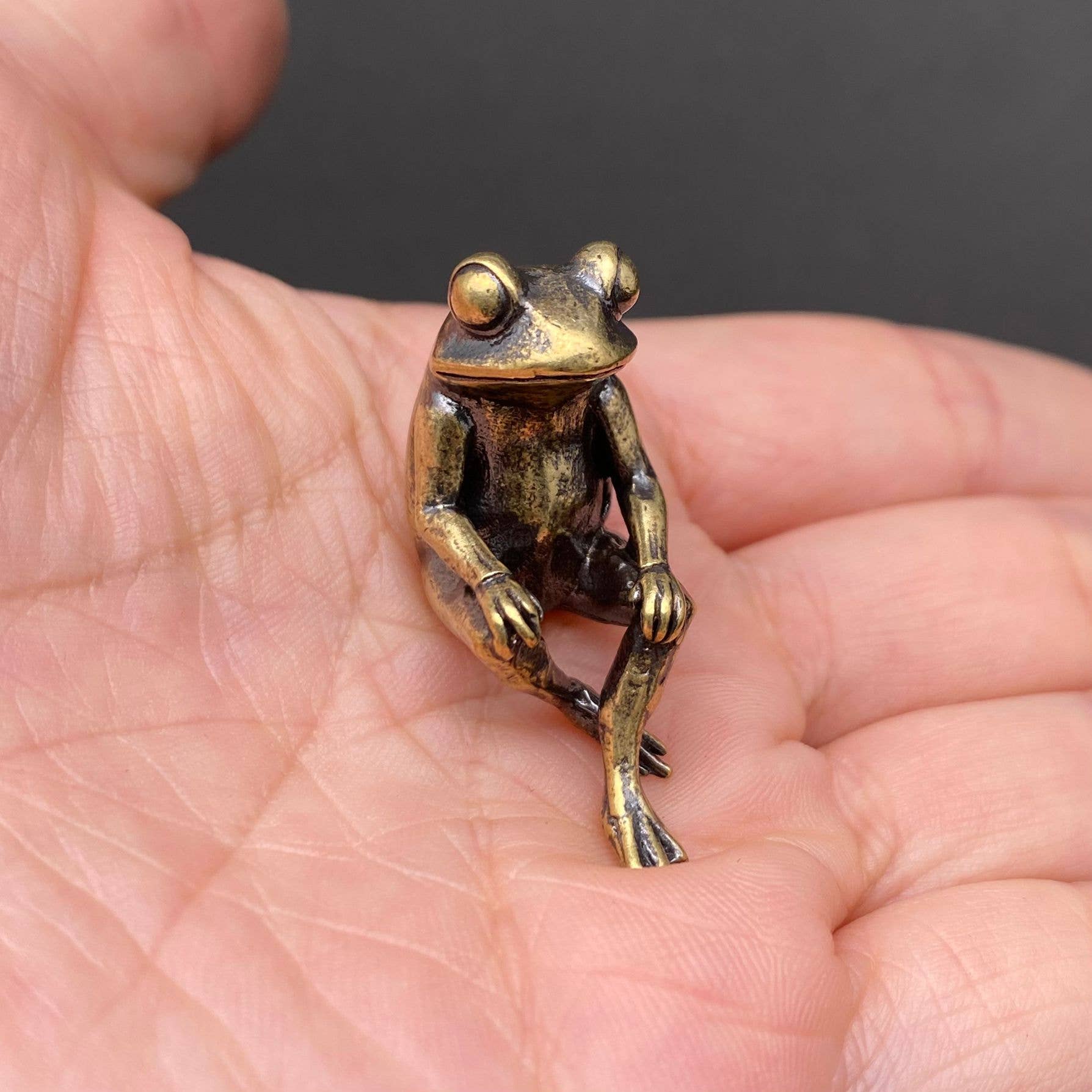 Frog | Brass Figurine - Spiral Circle
