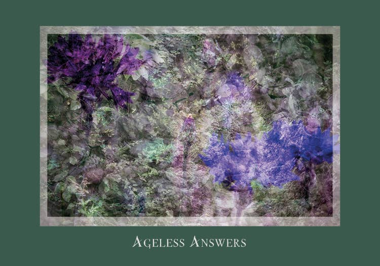 Gaia's Vision Oracle Cards - Spiral Circle