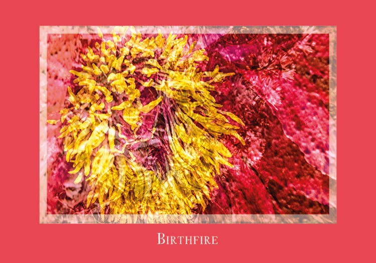 Gaia's Vision Oracle Cards - Spiral Circle