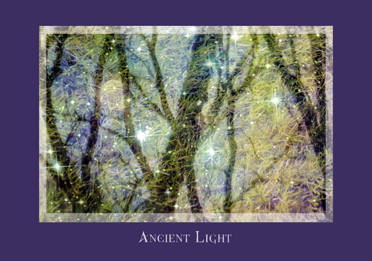 Gaia's Vision Oracle Cards - Spiral Circle