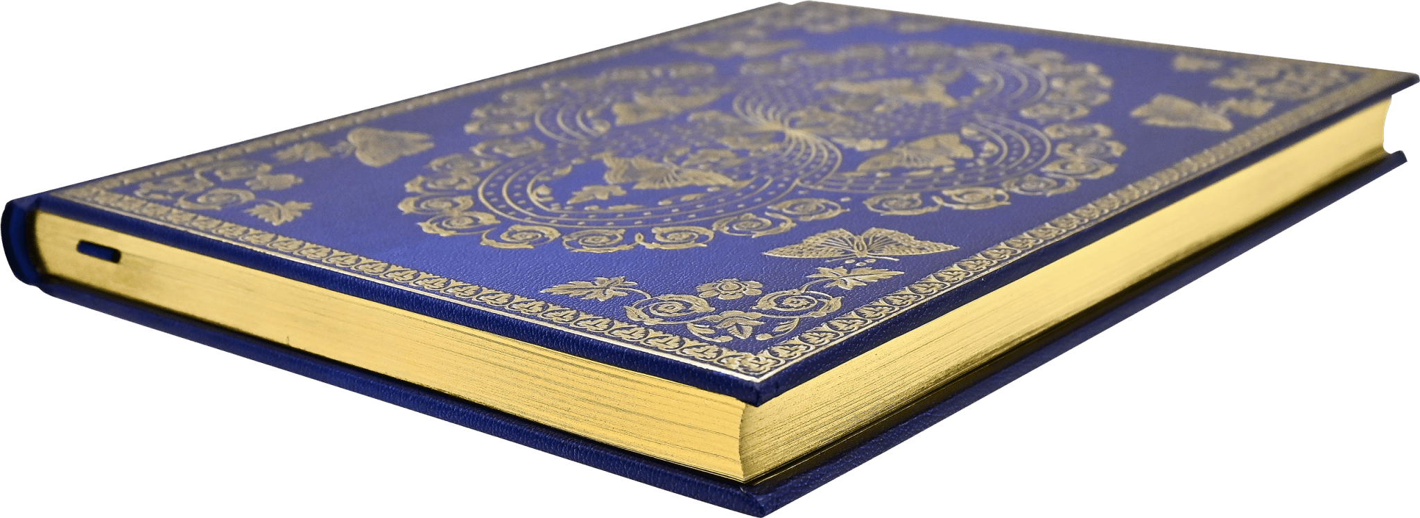 Gilded Butterflies Journal - Spiral Circle