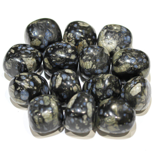 Glaucophane Tumble | Large - Spiral Circle