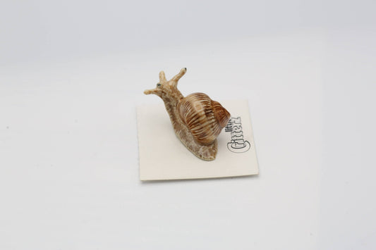 Helix Garden Snail Porcelain Decorative Figurine Miniature - Spiral Circle