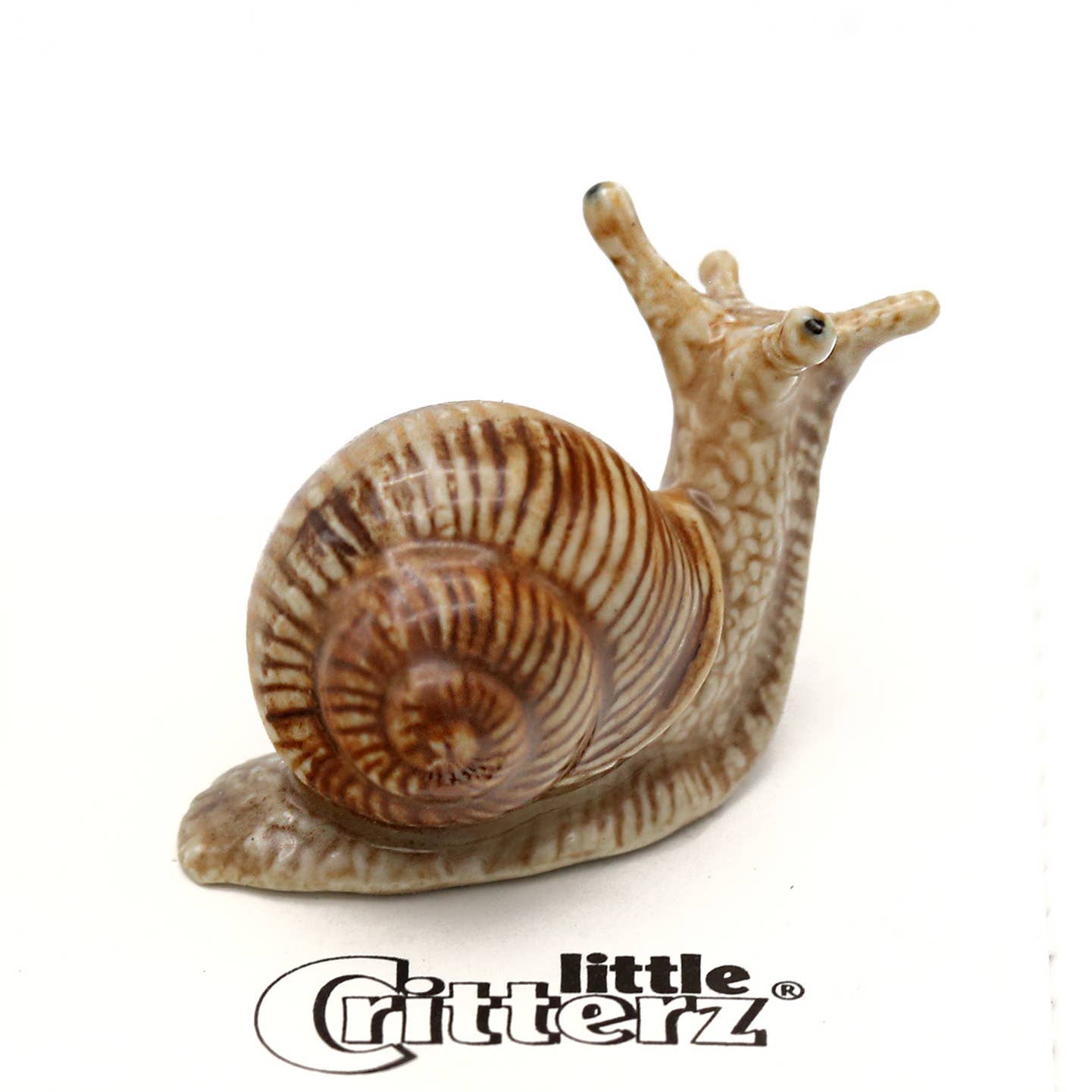 Helix Garden Snail Porcelain Decorative Figurine Miniature - Spiral Circle