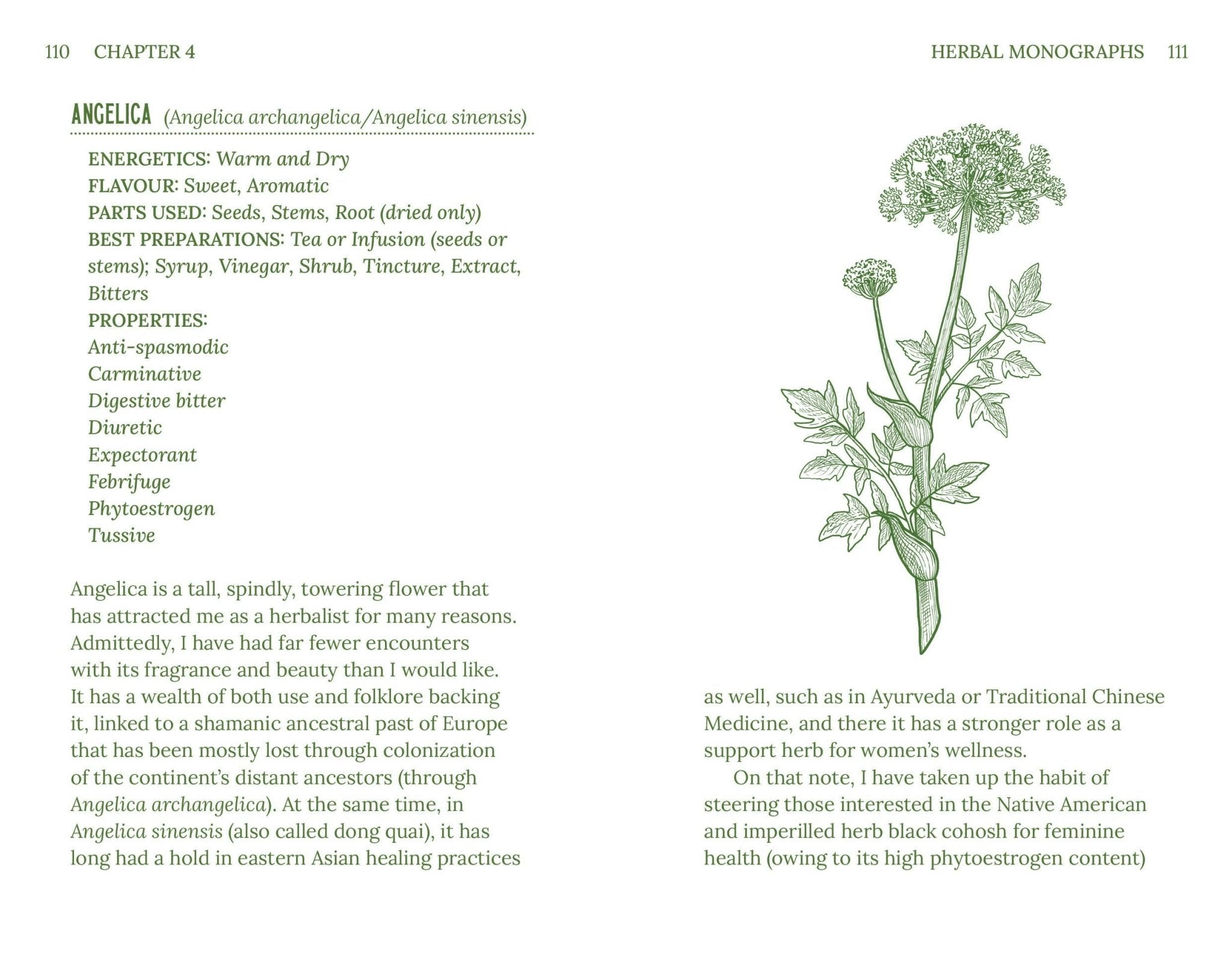Herbalism (Arcturus Hidden Knowledge) - Spiral Circle