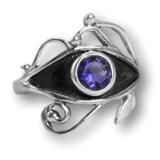 Iolite Eye of Horus Sterling Silver Ring | Size 7 - Spiral Circle
